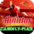 3cardfly Pro1 v4.1.8