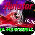 antigua hawksbill Games (Casino & Earning) Max v4.3.7