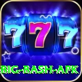 bbl big bash apk Games (Casino & Earning) VIP v2.4.2