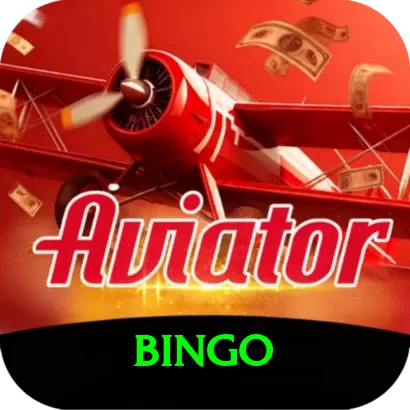bingo Premium vv4.7.8 - 2