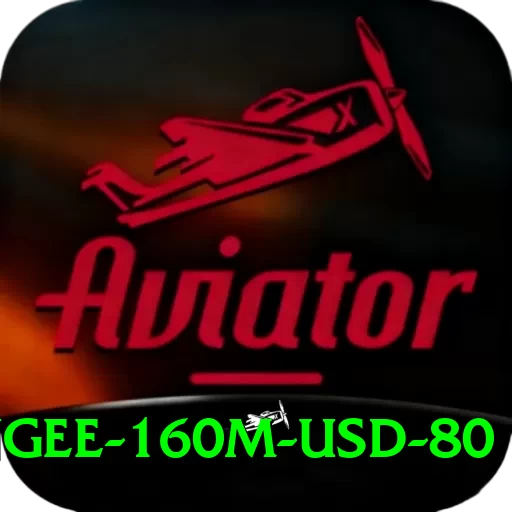 bungee 160m usd 80 Master Pro v4.1.7 - 2