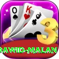 dawid malan Plus Pro v1.3.4