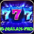 dawid malan Champion v2.5.8