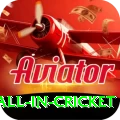 fastest ball in cricket Gold Pro v1.2.4