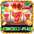 fastest ball in cricket Slots Master v4.1.6