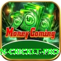 fastest ball in cricket - Supreme Earning App