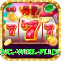 fishing wire Premium New
