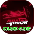 grass carp Apps (Tools & Injectors) Elite v1.5.8