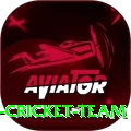 hong kong cricket team Pro v3.0.4