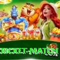 india cricket match Max v4.1.5