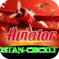 india pakistan cricket Turbo v3.9.0