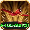 india test match Gold Edition v4.4.1