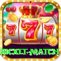 international cricket match Pro Edition v4.6.8