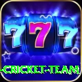 ireland cricket team Elite v2.1.6