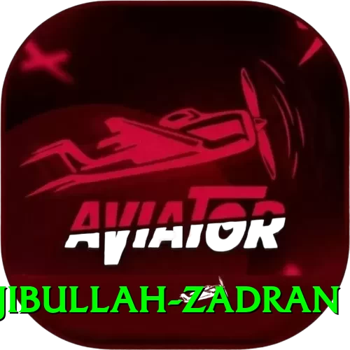 najibullah zadran Max v1.7.7 - 2