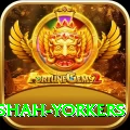 naseem shah yorkers Max v4.5.8