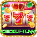 new zealand cricket team Pro Max v3.1.6