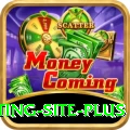 Pakistan Betting Site Mega - Casino & Slots