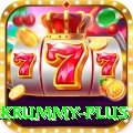 pakrummy Plus Pro v2.1.1