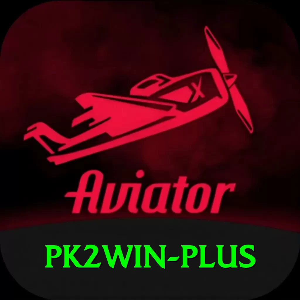 pk2win Plus v1.8.9 - 2