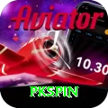 pkspin Apps (Tools & Injectors) Gold vv5.6.2
