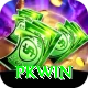 PKWin Plus Pro vv1.1.1