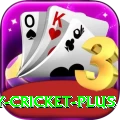 play cricket Game Extreme v1.0.3