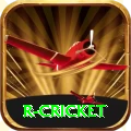 r cricket Deluxe Pro v5.2.5