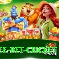 risk free bet cricket Master Pro v4.6.3