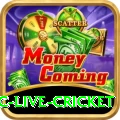 smartcric live cricket Games (Casino & Earning) Turbo v4.1.5