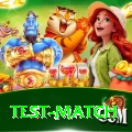 test match Plus Edition v1.2.5