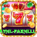 wayne parnell Deluxe Pro v1.9.0