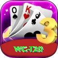 wc t20 Turbo Pro v3.3.8