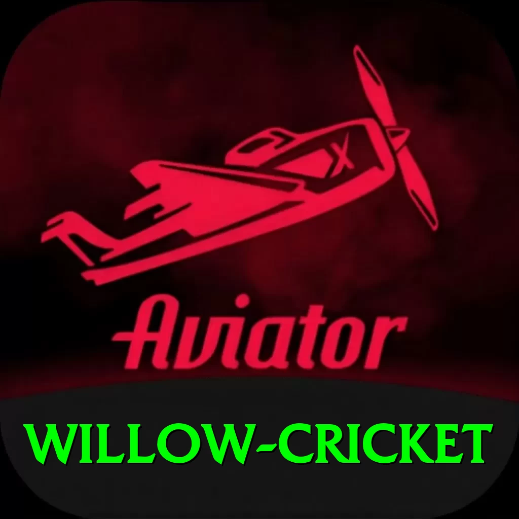 willow cricket Ultimate v2.3.0 - 2