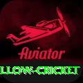 willow cricket Ultimate v2.3.0