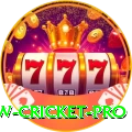 willow cricket Slot Machine Gold
