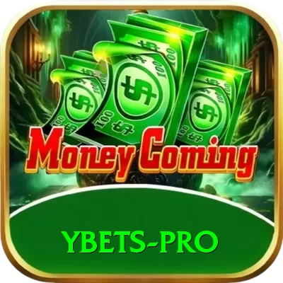 Ybets Pro 2024 - 2